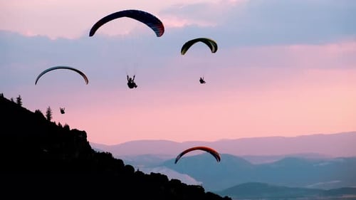 Crowd Paragliding Im Himmel