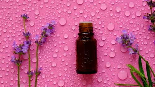 Amber Bottle with Lavender on Pink, Wet Background