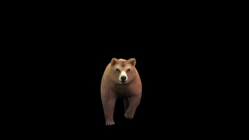 Animated 3D Brown Grizzly Bear Walking and Roaring