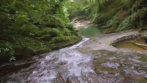 A Small Mountain River Flows in the Jungle