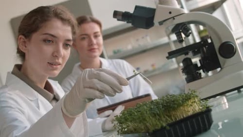 Scientists Examining Plant Seedlings in Laboratory