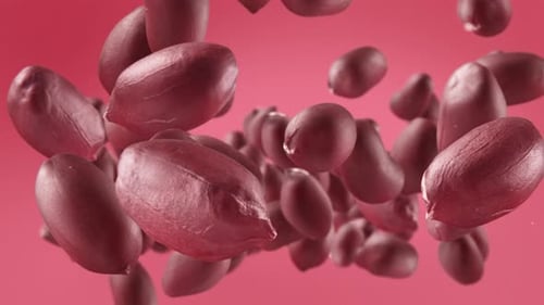 Close Up Shot of Falling Peanuts in Shells