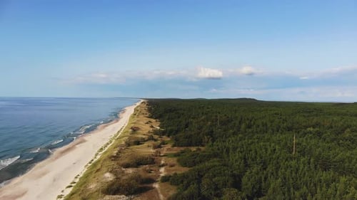 AERIAL: Pedestal shot of sandy beach near green forest