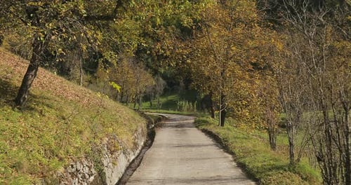 Moving Forward in a Park Area on a Road