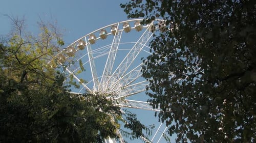 Riesenrad im Park