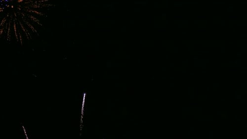 Colorful Firework display at night on sky background