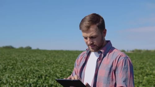 A Young Farmer Makes Notes in a Tablet About the Peculiarities of Soybean Growth in the Field