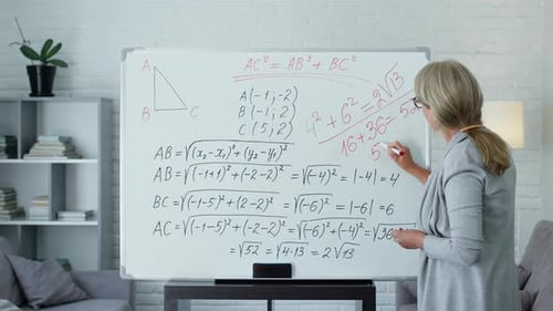 Woman Explains Math Equations at Whiteboard