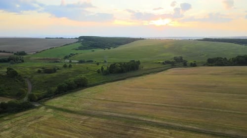 Aerial Landscape View of Yellow Cultivated Agricultural Field with Ripe Wheat on Bright Summer Day