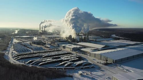 Ein großes Industrieunternehmen für die Holzverarbeitung im Wald