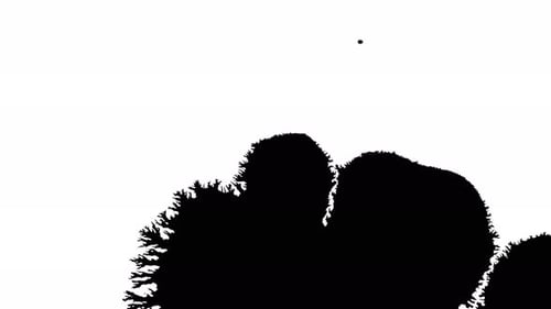 Black Ink Spreading on White Surface