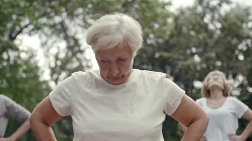 Seniors Stretching Together in a Park