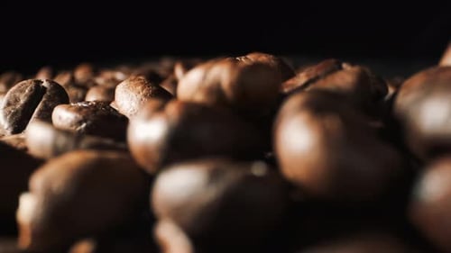 Beautiful View Of Coffee Beans. Close-up.