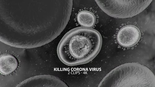 3D Microscopic Animation of Virus Infecting a Human Cell