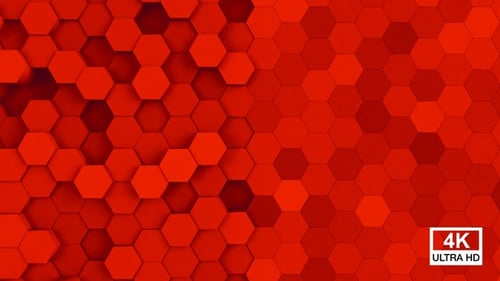Dynamic Red Hexagon Background Loop