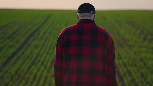 Senor a Male Farmer Goes to the Field During a Drought Inspecting the Fields