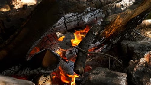 Camp Fire (4K)