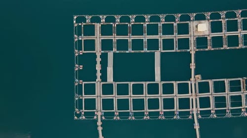 Fish Farm in Sea - Farming Enclosures with Fresh Water Where Trout, Carp or Salmon Is Raised