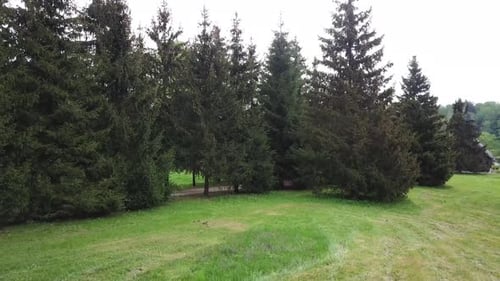 Frühling In Einem Landgut 31