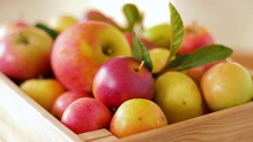 Wooden Crate Filled with Fresh Apples