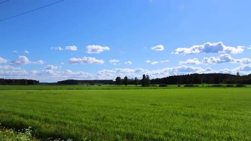 Zeitraffer über einer grünen Wiese mit Wäldern in der Ferne und weißen Wolken, die im Himmel vorbeiziehen
