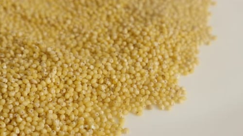 Pile of Yellow Millet Grains in Close Up