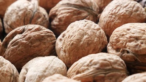Fruit de noix du genre Juglans dans la coque 4K 3840X2160 30 images par seconde UHD - Beaucoup d'anglais ou de persan