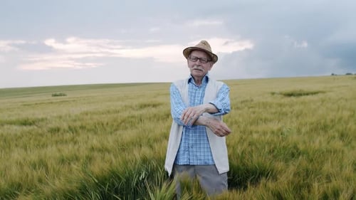 Mustached Man Strokes Barley Spikelets in Field and Rejoices with Crossed Hands
