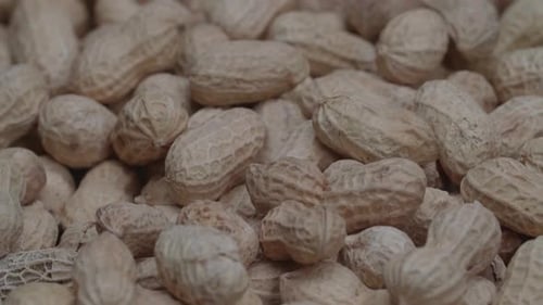 Pile of Peanuts in Shells Close Up