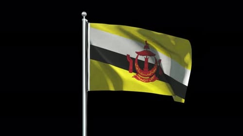 Realistic Brunei Flag Waving Animation on Flagpole