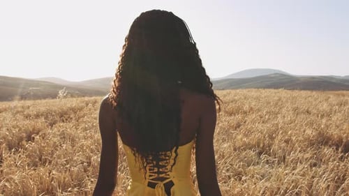 Woman's Back As She Walks on a Golden Wheat Field with Sky in Background