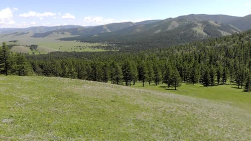 Green Meadows in The Sparsely Wooded Between Forest Covered Hills with Aerial View