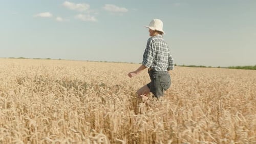 woman runing fun across the wheat field. agriculture dream concept. girl farmer hands to sides runs