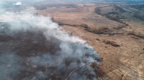 Forest and Field Fire. Dry Grass Burns, Natural Disaster. Aerial View.