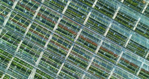 Aerial View of Expansive Commercial Greenhouse