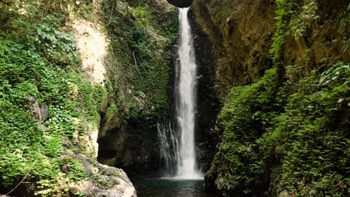 Lush Waterfall Flowing in Tropical Environment