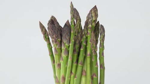 Spargel 36