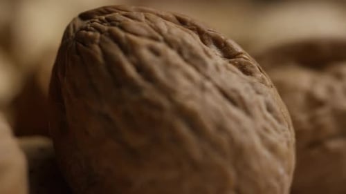 Assorted Shelled Nuts Close Up Panning Shot