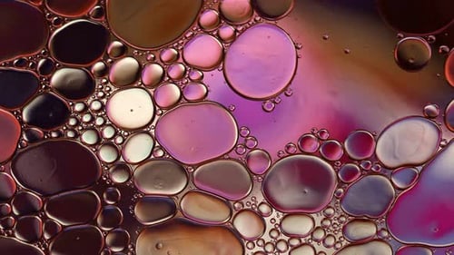 Abstract Colorful Food Oil Drops Bubbles 131