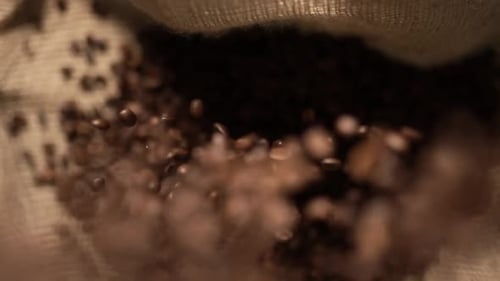 Coffee Beans Falling into Burlap Sack