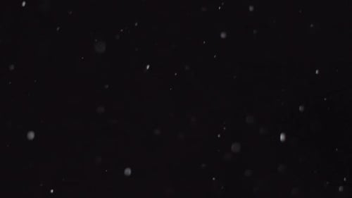 Winter Snow, Falling Snow Isolated on Black Background, Large and Small Snow Snowflakes