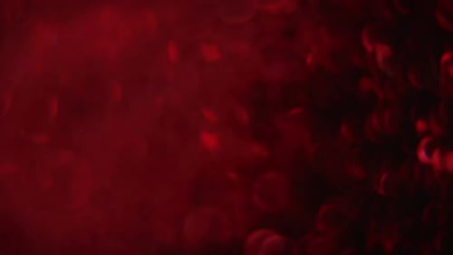 Close-up of maroon defocused