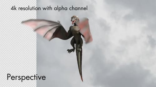3D Animated Flying Dragon with Alpha Channel