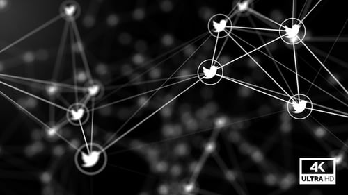 Datennetzwerke Twitter Plexus Hintergrund Looped V3