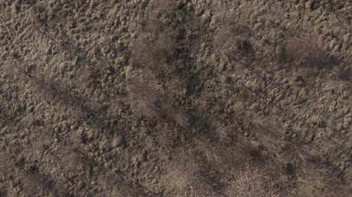 Langsames Fliegen über die Natur des Hochlands 4K Luftbild