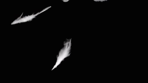 White Feathers Falling Down on Black Background