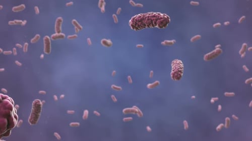 Realistic Microscopic Bacteria Animation for Medical Science Projects