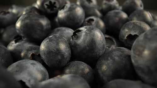 Blueberries 11