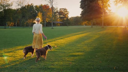 Autumn Walk in the Park with Two Pets