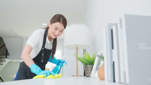 Woman Cleaning Home Surface with Spray and Cloth